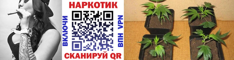 Цена Олонец Каннабис Меф Alpha PVP Гашиш КОКАИН