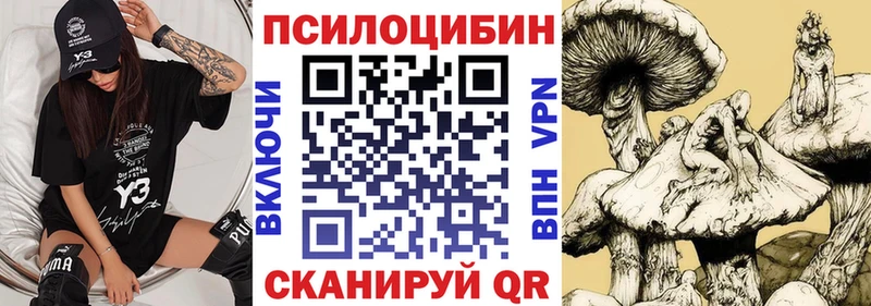 Псилоцибиновые грибы прущие грибы  Олонец 