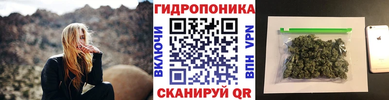 Бошки марихуана MAZAR  как найти наркотики  Олонец 